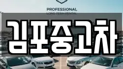 김포중고차