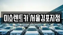 미소렌트카 서울김포지점