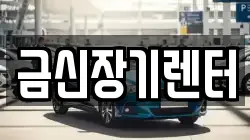 금신장기렌터