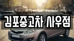 김포중고차 사우점
