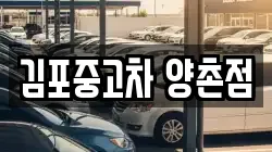 김포중고차 양촌점