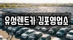 경기도 김포시 양촌읍 렌트카,단기렌트카,장기렌트카,중고차,중고차매매,중고차매입