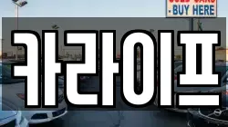 카라이프
