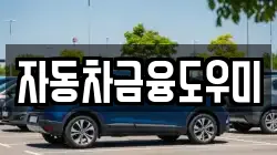자동차금융도우미