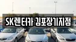 경기도 김포시 장기동 렌트카,단기렌트카,장기렌트카,중고차,중고차매매,중고차매입