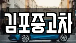 김포중고차