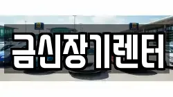 금신장기렌터