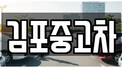 김포중고차