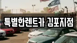 경기도 김포시 풍무동 렌트카,단기렌트카,장기렌트카,중고차,중고차매매,중고차매입