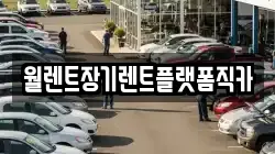 경기도 김포시 하성면 렌트카,단기렌트카,장기렌트카,중고차,중고차매매,중고차매입