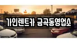 경기도 남양주시 금곡동 렌트카,단기렌트카,장기렌트카,중고차,중고차매매,중고차매입