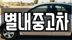 별내중고차