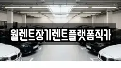 경기도 남양주시 별내면 렌트카,단기렌트카,장기렌트카,중고차,중고차매매,중고차매입