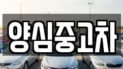양심중고차