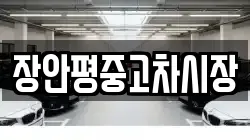 장안평중고차시장