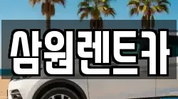경기도 남양주시 지금동 렌트카,단기렌트카,장기렌트카,중고차,중고차매매,중고차매입