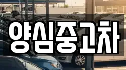 양심중고차