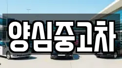 양심중고차