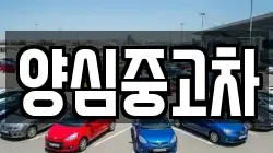 양심중고차