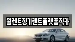 월렌트장기렌트플랫폼직카