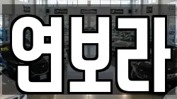 경기도 동두천시 생연동 렌트카,단기렌트카,장기렌트카,중고차,중고차매매,중고차매입