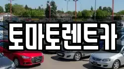 토마토렌트카