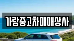 가람중고차매매상사