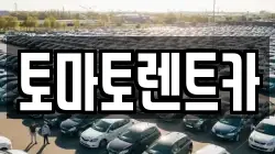 토마토렌트카