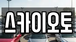 스카이오토