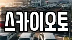 스카이오토