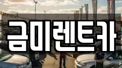 금미렌트카
