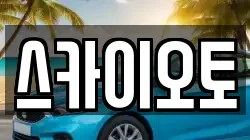 스카이오토