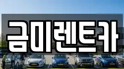 금미렌트카