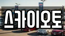 스카이오토