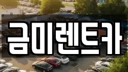금미렌트카