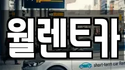 월렌트카