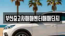 부천중고차매매센터매매단지