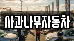 사과나무자동차