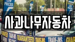 사과나무자동차