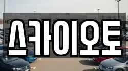 스카이오토