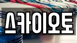 스카이오토