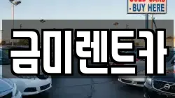 금미렌트카