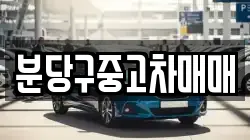 분당구중고차매매
