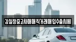 김실장중고차매매직거래매입수출시세