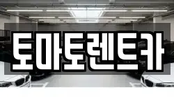 토마토렌트카
