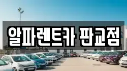 알파렌트카 판교점
