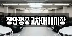 장안평중고차매매시장