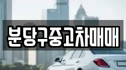 분당구중고차매매