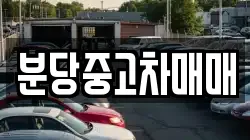 분당중고차매매