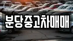 분당중고차매매